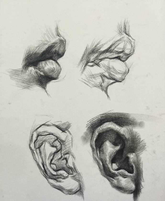 一组很赞的素描五官手绘课件有需要的同学转