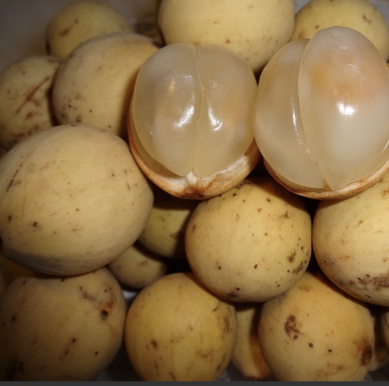 文莱淡布隆水果市场从码头坐一个多小时的快艇到达文莱和