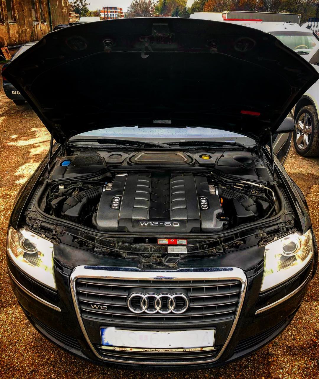 奥迪强音计划小浪编辑部有一种12叫做奥迪的w12