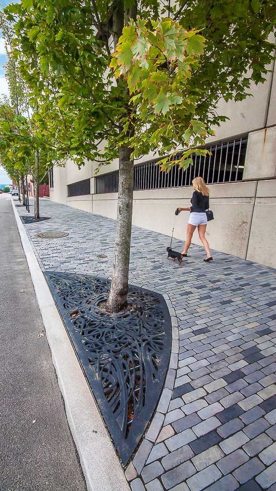 景观树池设计参考