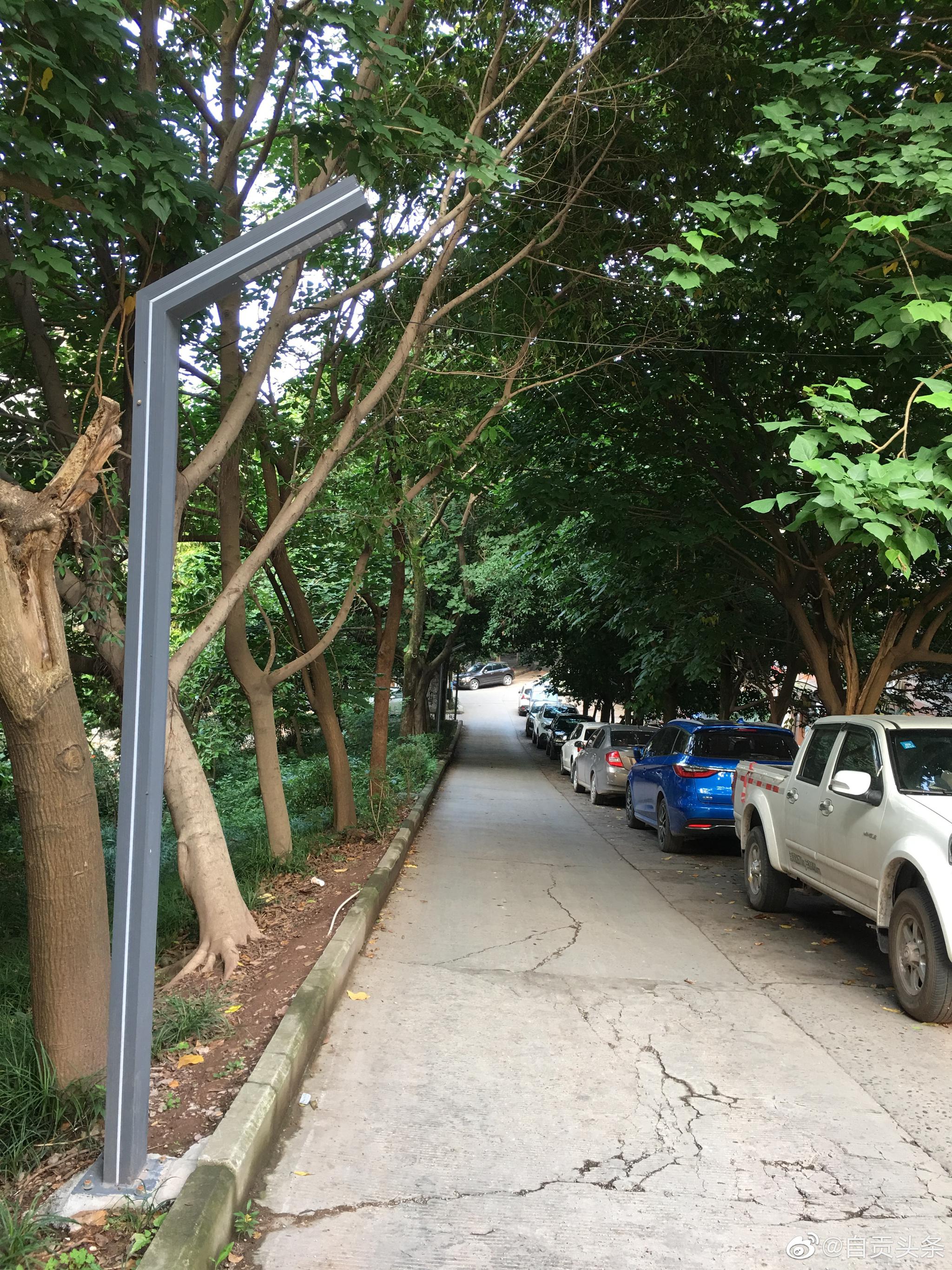 改造中的高笋塘小区,新增了停车位,人行道和路灯都已更新