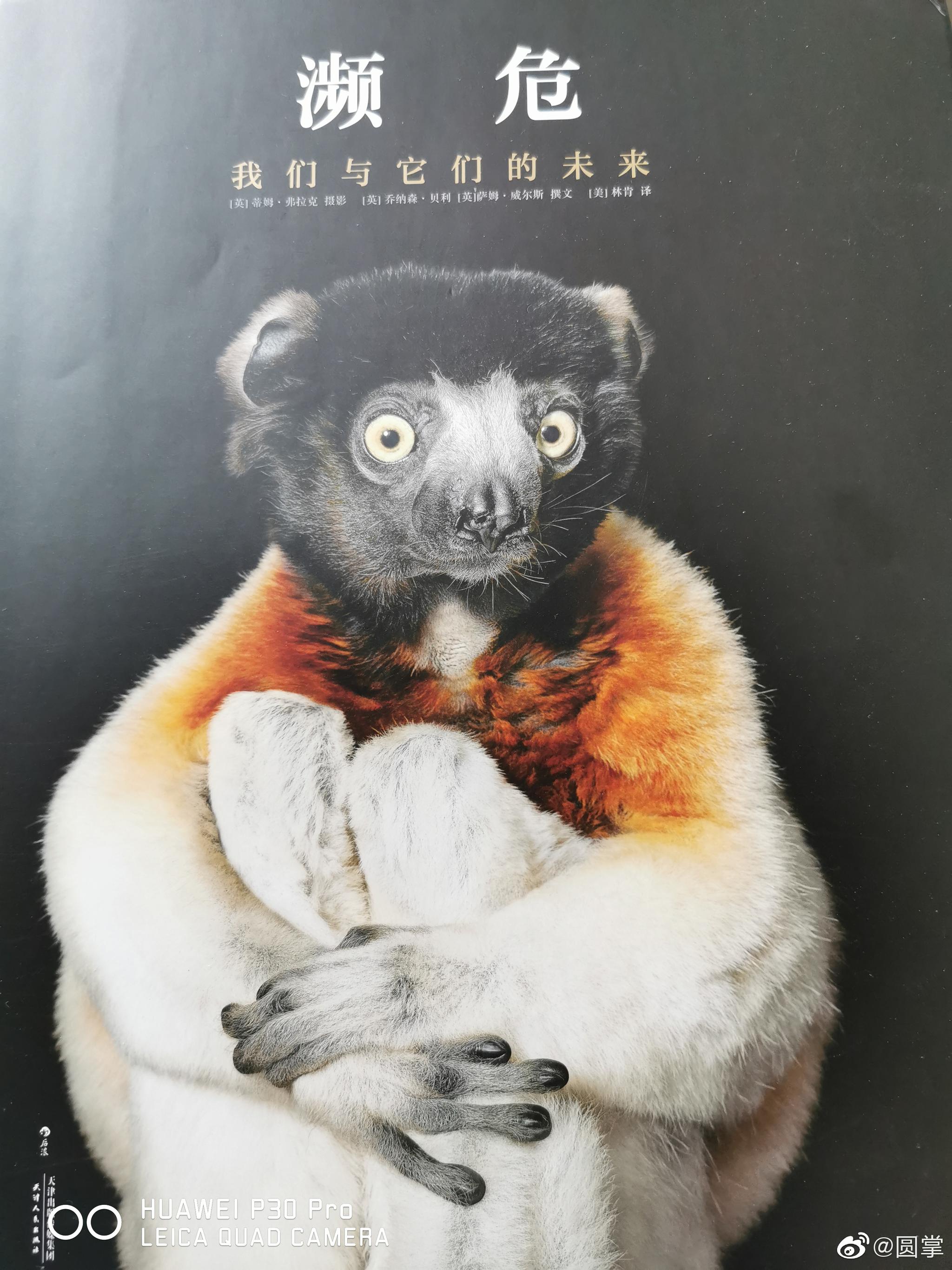 假如真的发现了一个虫洞,我们该去穿越吗?...