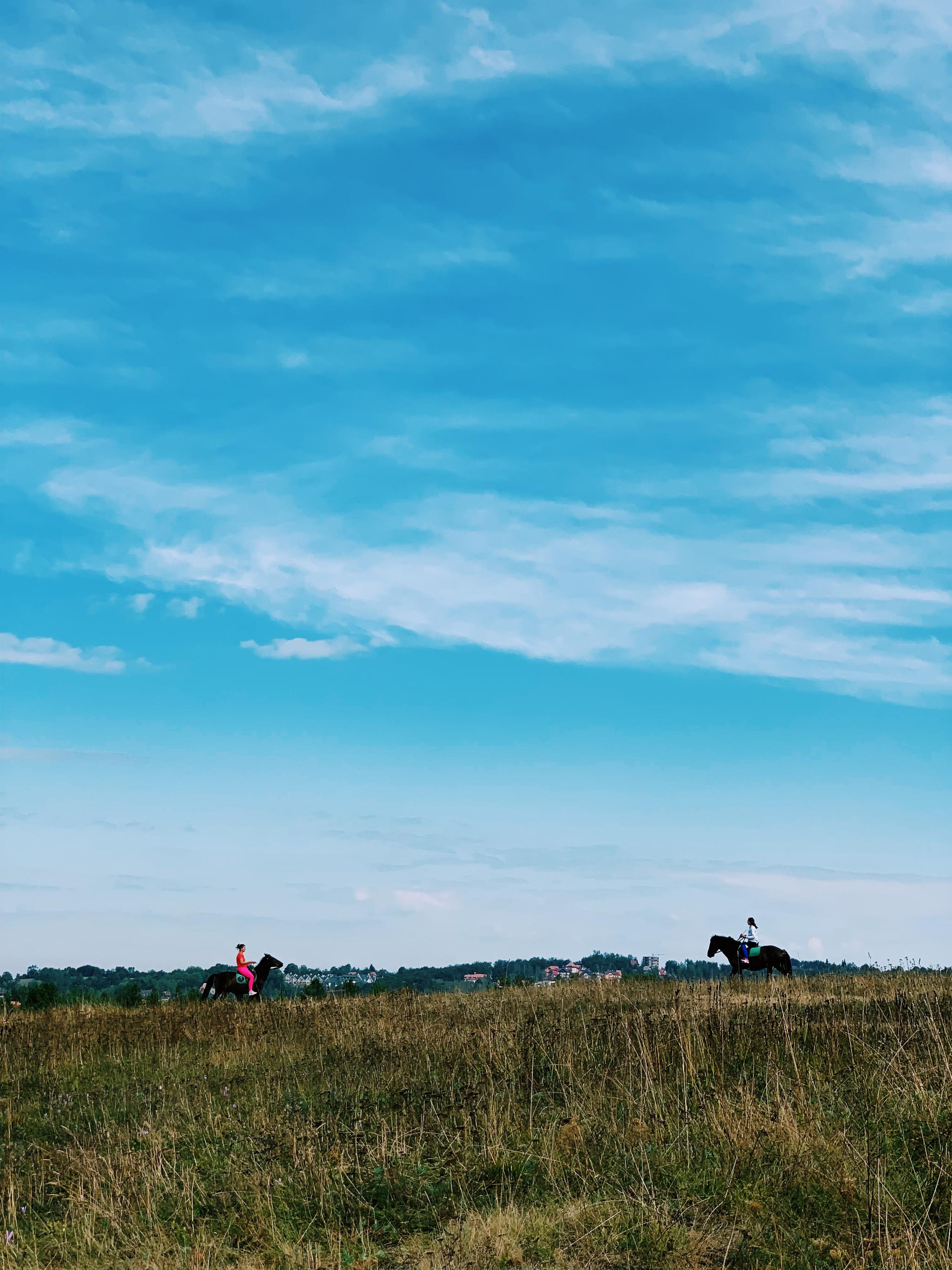 天空与大地城市与山林人与树都在美妙相处