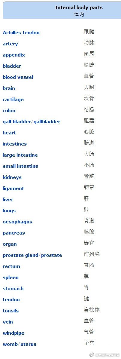 描述身体部位以及不同感官的英文单词大全