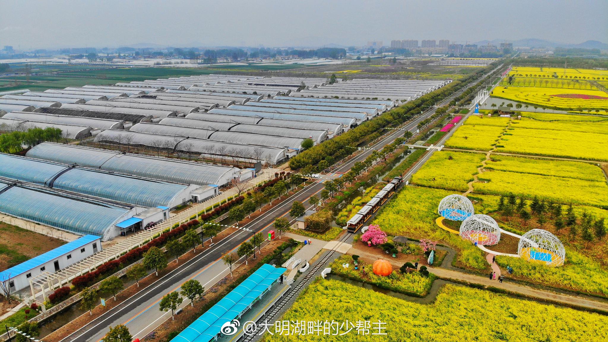 多么惬意|农业公园|油菜花海|小火车_新浪新闻