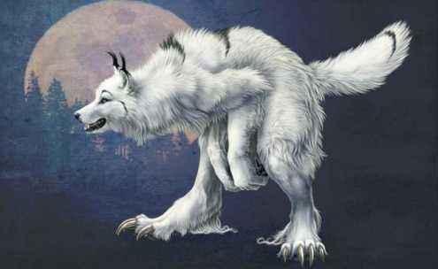 朋友,您有没有听说过"狼搭肩"相关的故事呢?