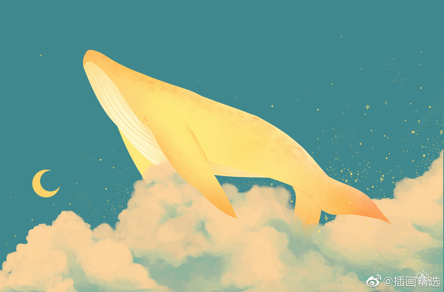 星光里的鲸鱼插画师hatmong
