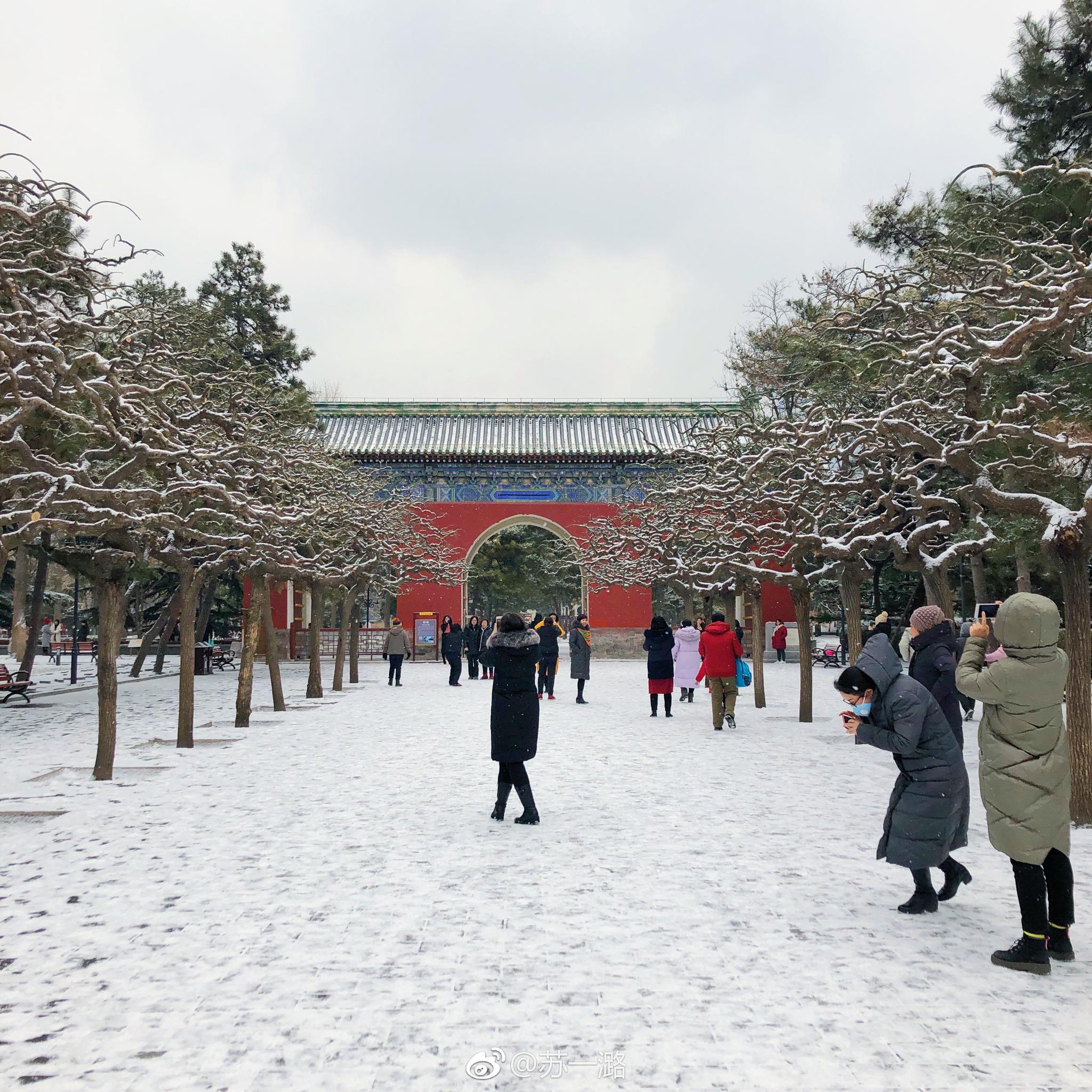 北京今天下雪啦,一到下雪天,就想出去拍雪景。冬天有雪才完整呀|雪景|下雪天|日坛公园_新浪新闻