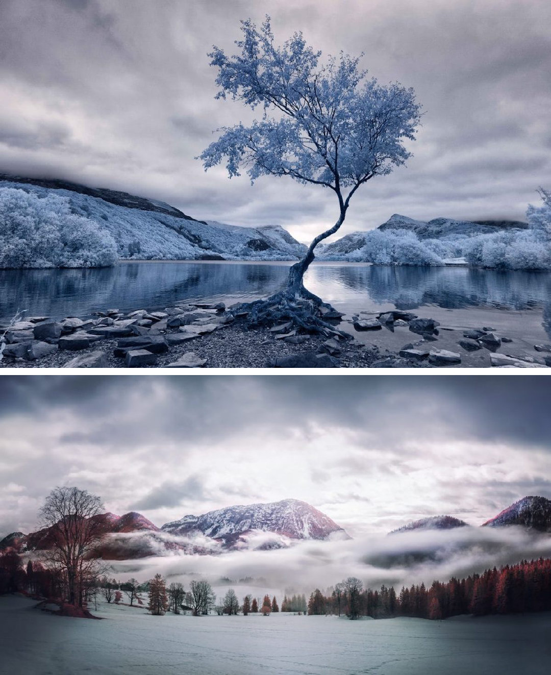 首届年度红外摄影大赛的杰出获奖照片欣赏|红外摄影|获奖|首届_新浪