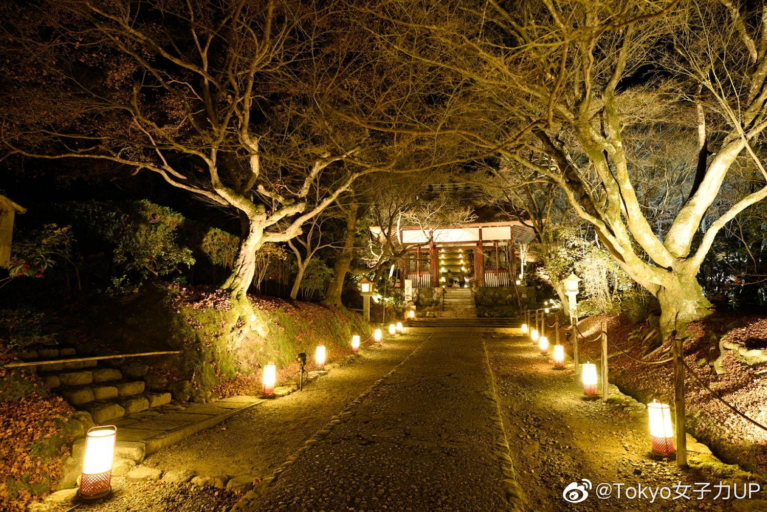 京都 岚山花灯路 19