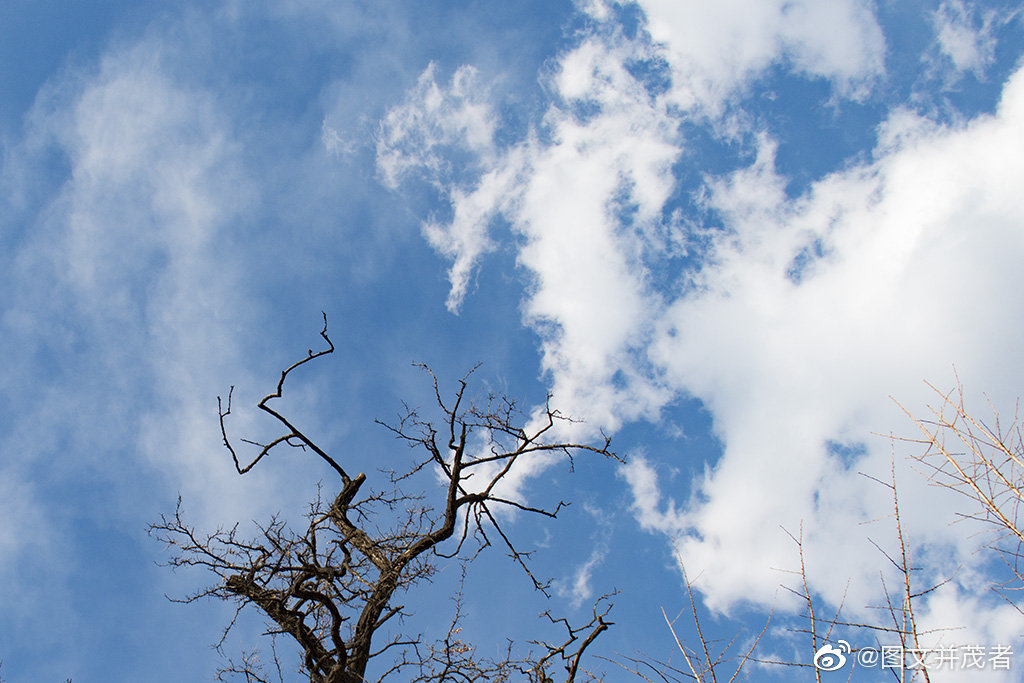 心中的快乐,来自于仰望天空时看到的亮色