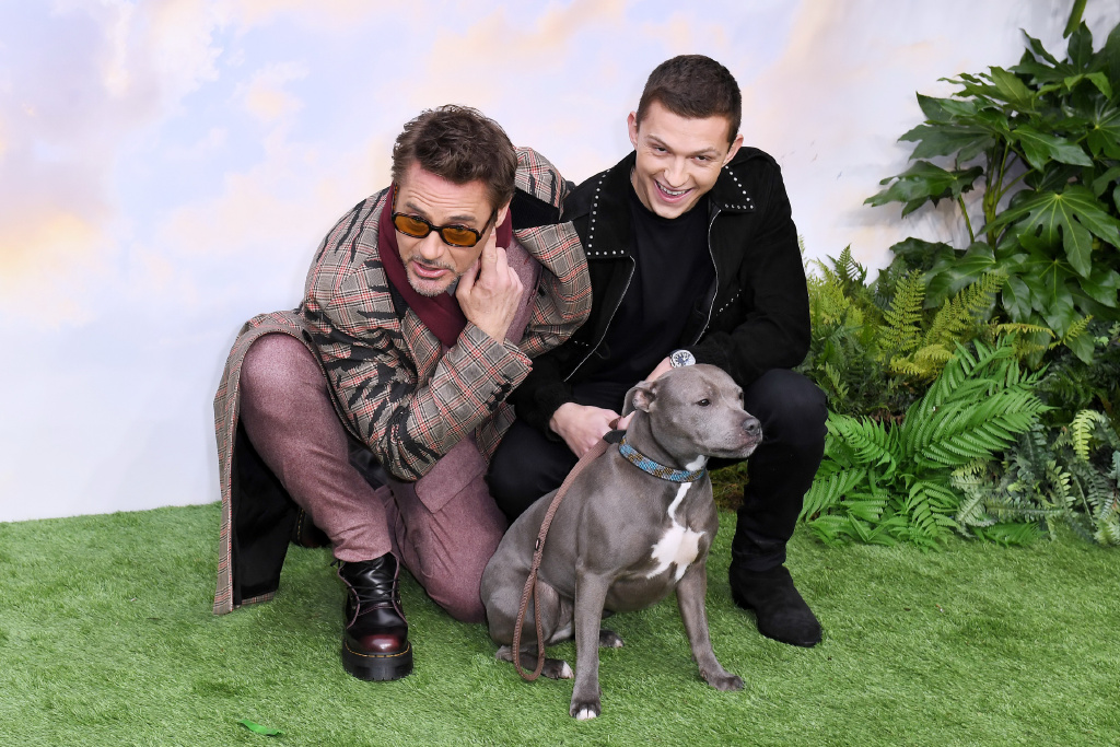 小罗伯特唐尼和汤姆赫兰德亮相活动钢铁侠和蜘蛛侠再同框