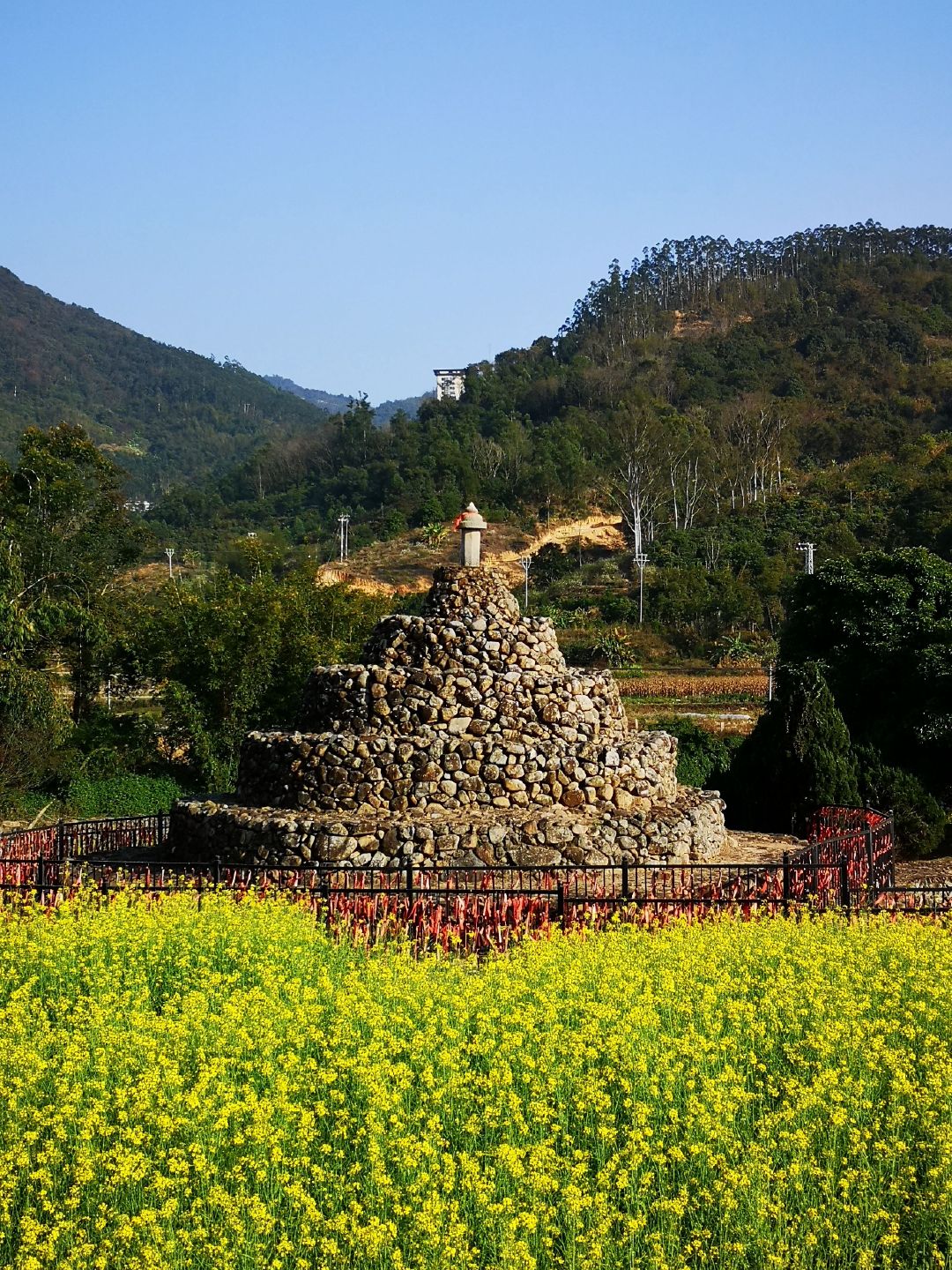 漳州长泰古山重虽然我们去的时候油菜花还没有全部盛开