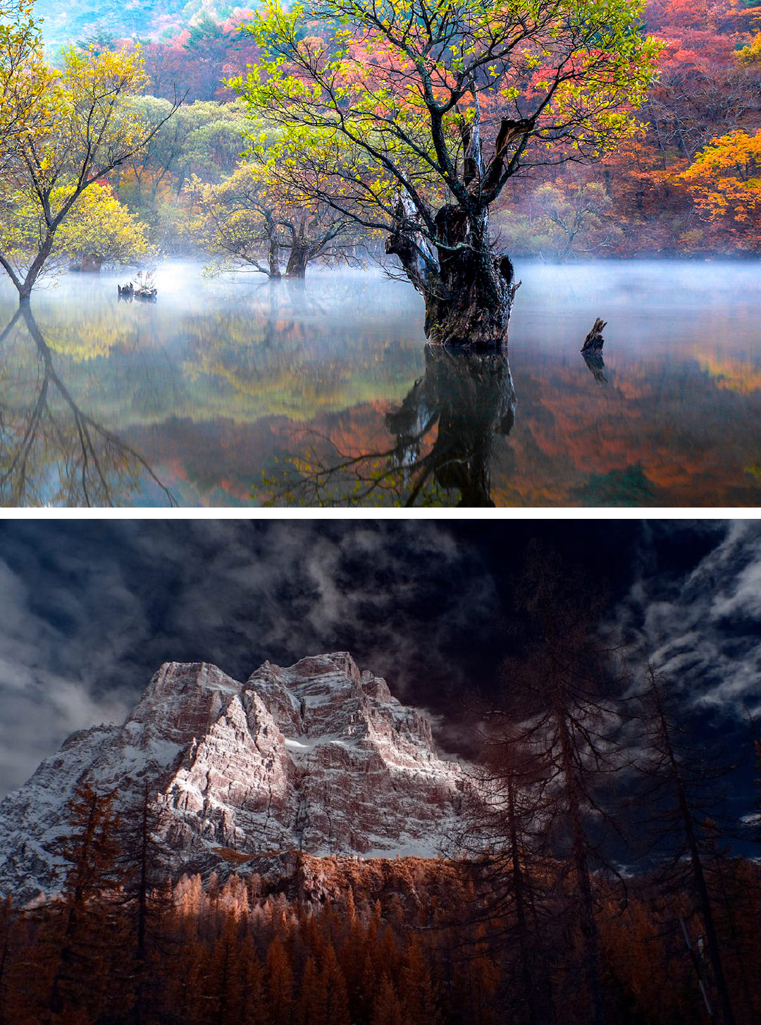 首届年度红外摄影大赛的杰出获奖照片欣赏|红外摄影|获奖|首届_新浪