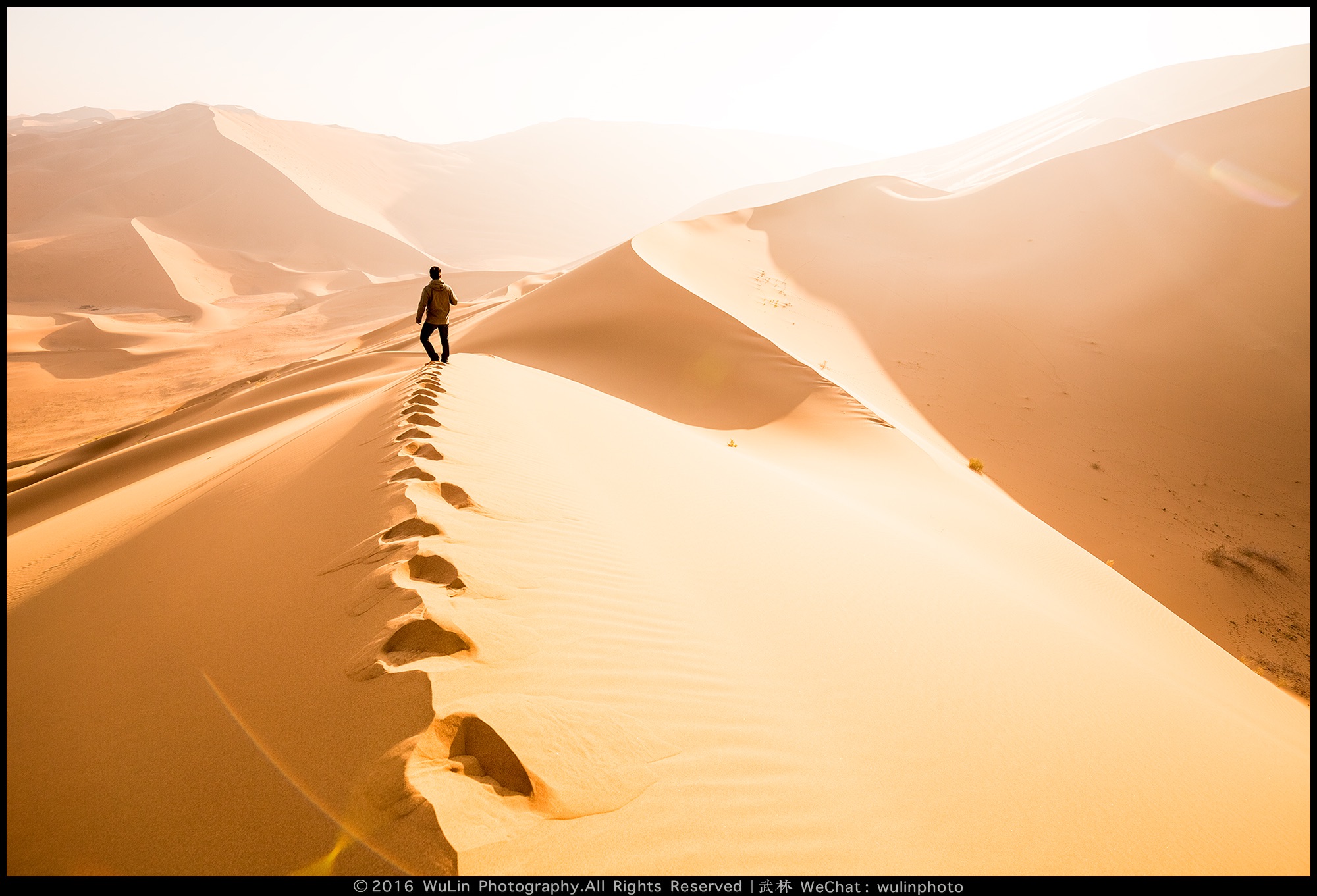 细沙在大风中随性起舞,看不清天地之间;自己在风沙之中远行,分不清