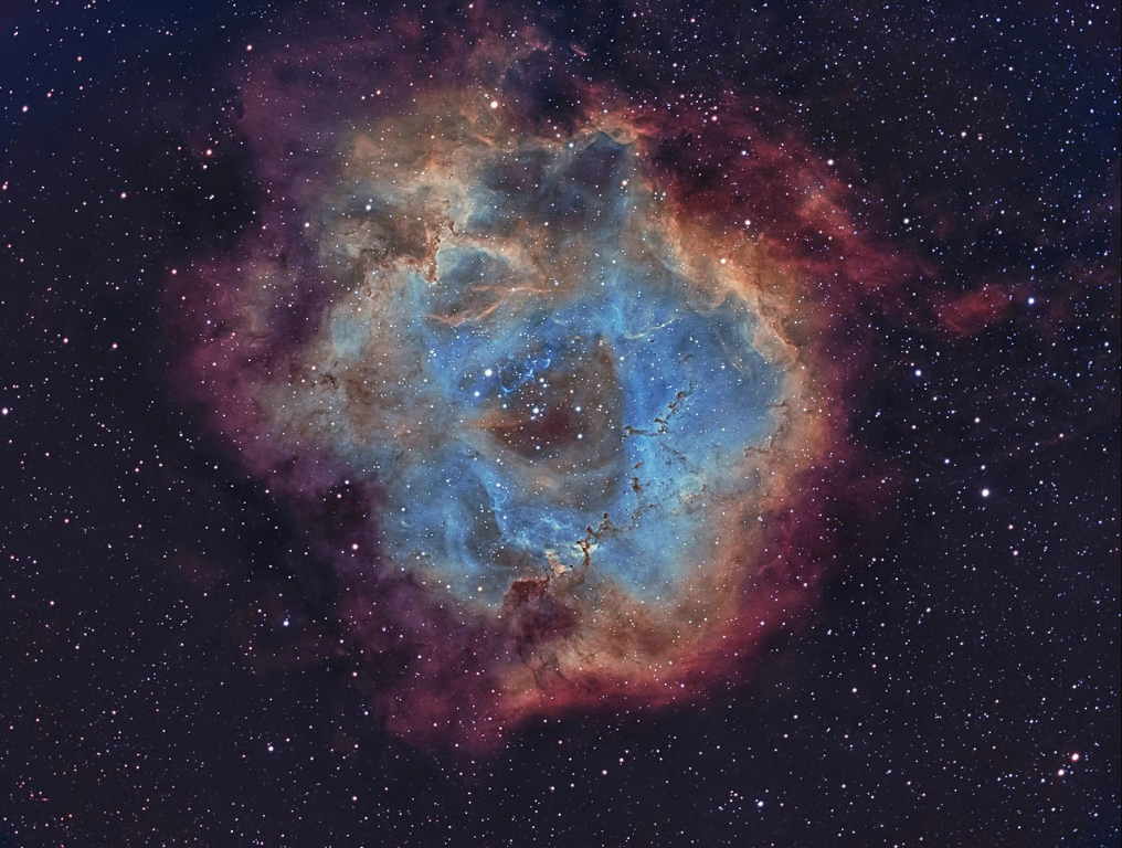 最浪漫的情人节,来自宇宙的恩赐,与爱人共赏星空中的玫瑰星云