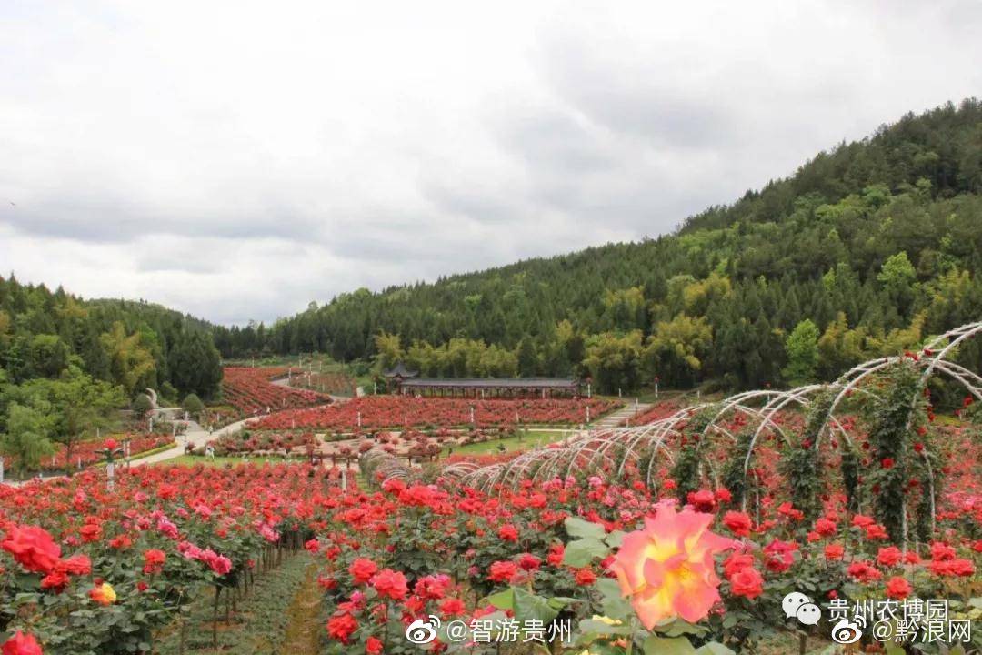 贵州农博园位于遵义市新蒲新区新舟镇,是西南地区最大的农业综合性