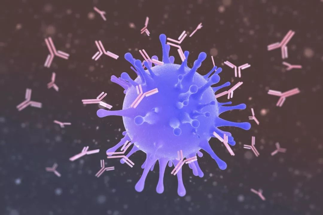 880万份数据集显示：40岁以后，免疫细胞将大幅衰老！