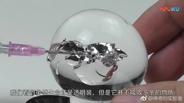 国外小哥做实验 往生命球里灌水银 会发生什么神奇的事情呢 国外小哥做实验 往生命球里灌水银 会发生什么神奇的事情呢