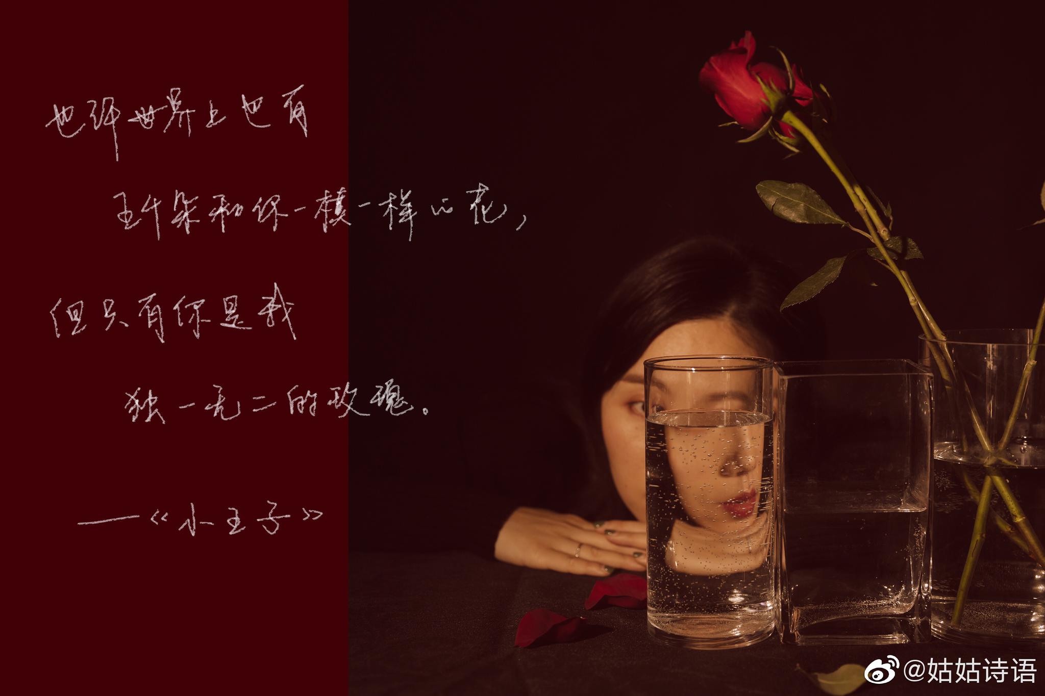 也许世界上有五千朵和你一模一样的花但只有你是独一无二的玫瑰小王