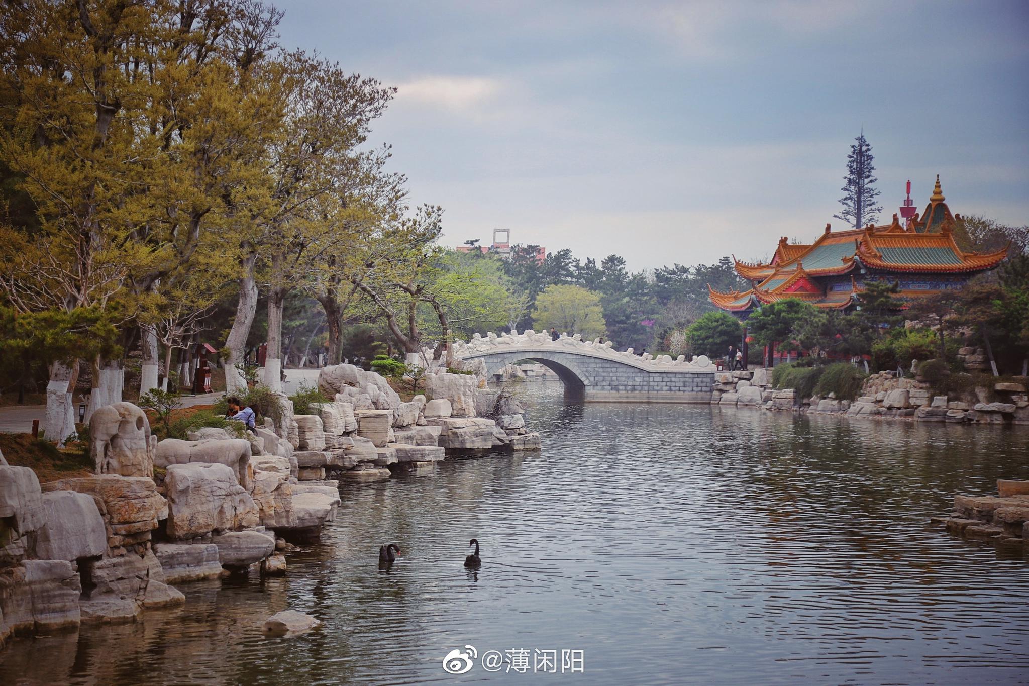 《上古卷轴5》三神循环练习全攻略：从入门到精通秘籍解析