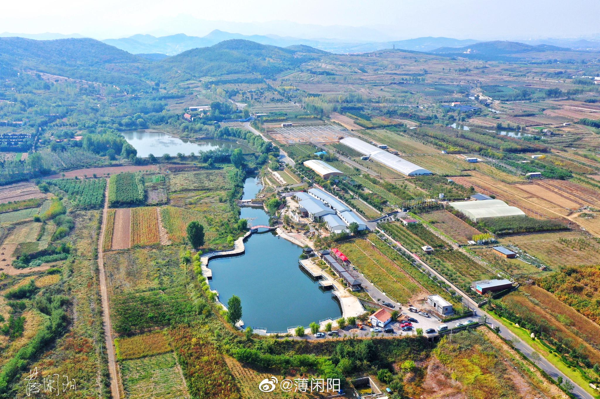 乡村振兴示范区青岛市即墨区龙泉街道莲花山社区