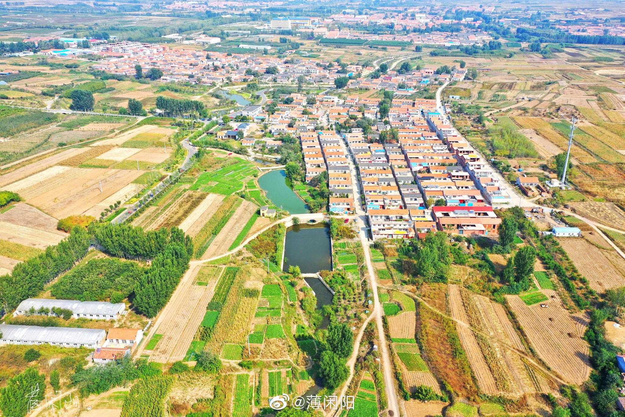 乡村振兴示范区青岛市即墨区龙泉街道莲花山社区