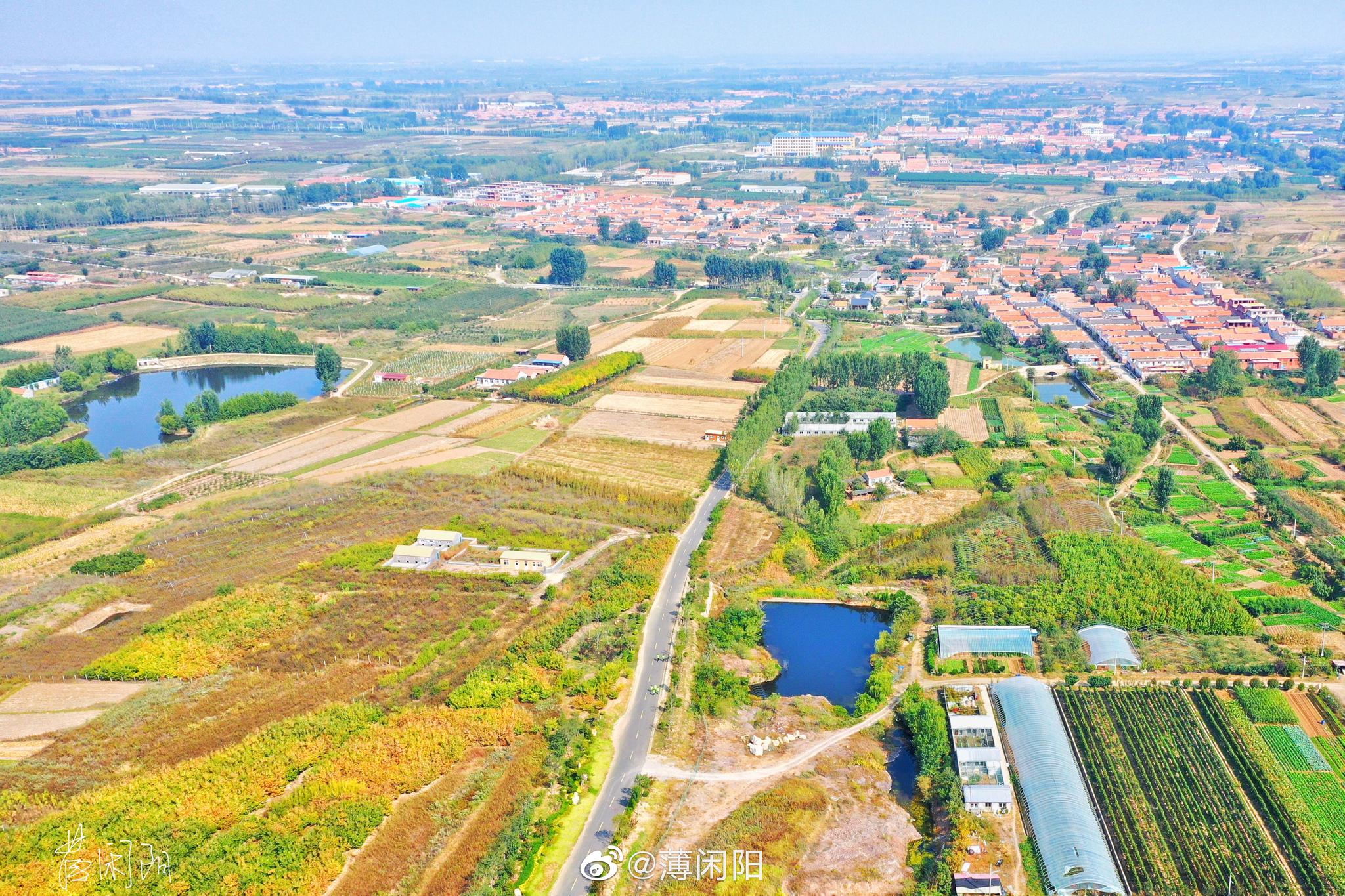 乡村振兴示范区:青岛市即墨区龙泉街道莲花山社区