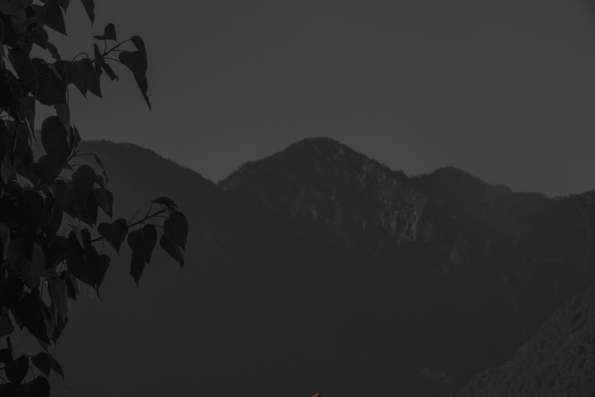 唯美背后有什么阴暗面?...