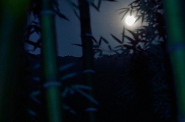月夜竹林