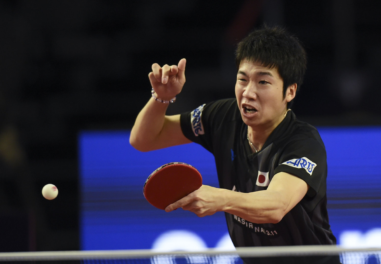 0水谷隼的组图,戴眼镜打球的大鸟你们见过吗?