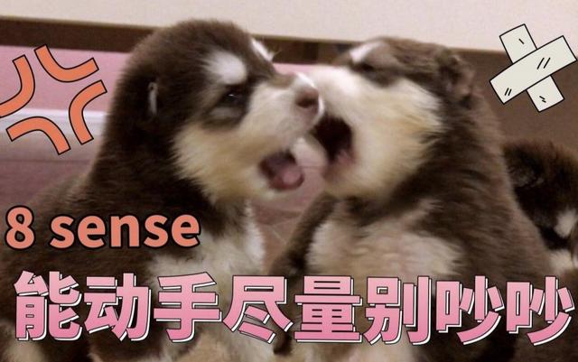 天秤男:能动手的尽量别吵吵处女座的强迫症,真的是非人类,工作生活中