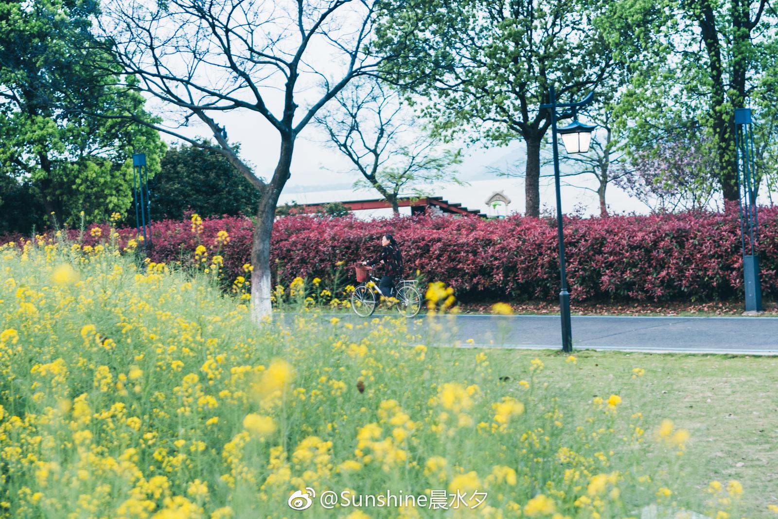 踏出门外,偶遇几个春天的故事. @微博摄影 @oppo锁屏杂志