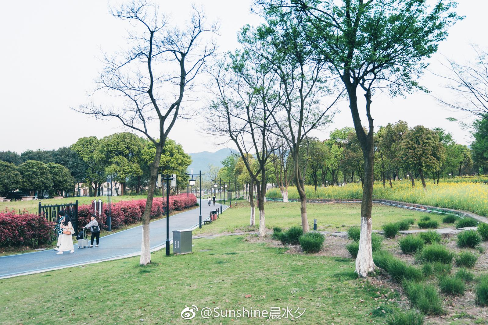 踏出门外,偶遇几个春天的故事. @微博摄影 @oppo锁屏杂志