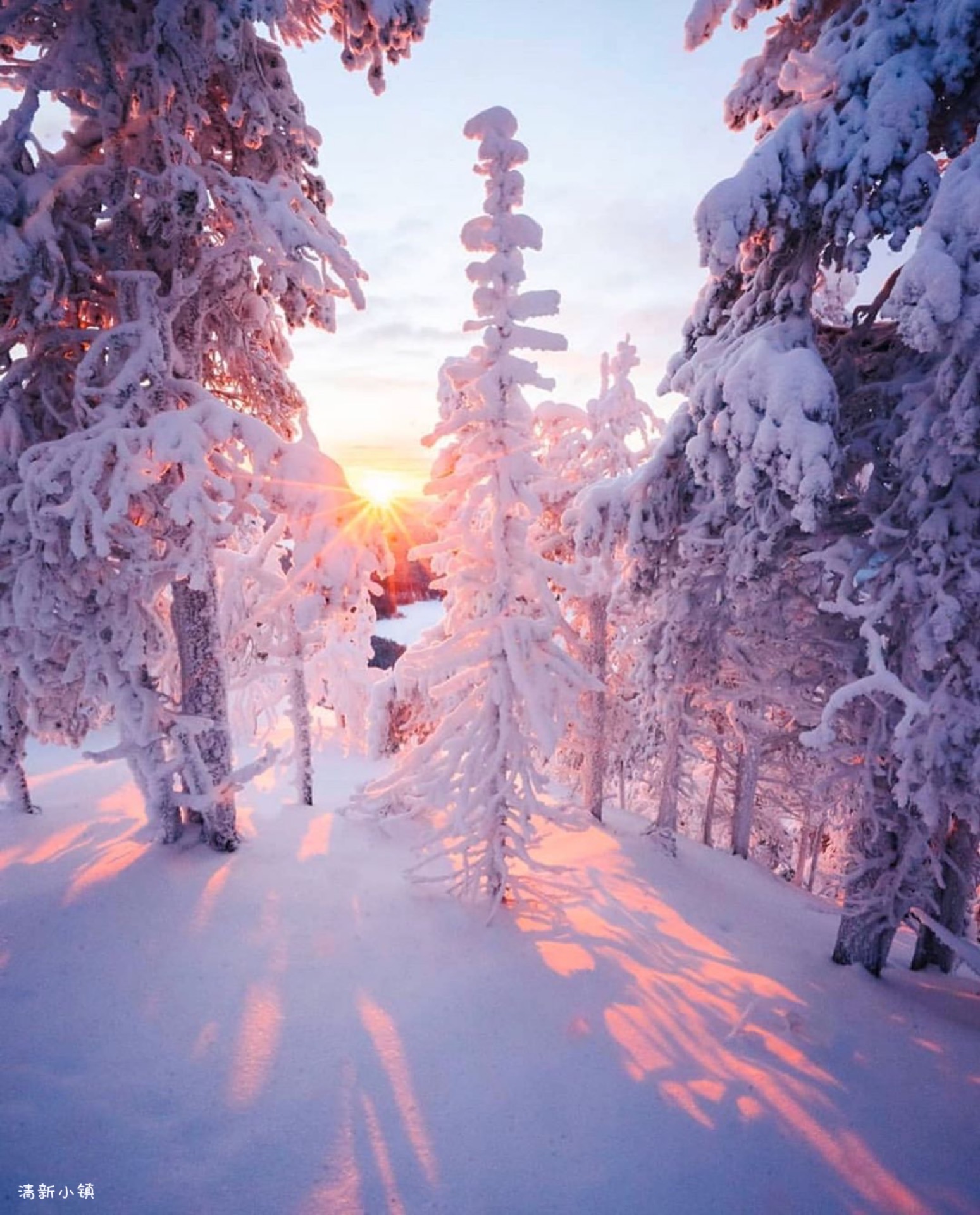 转眼夏天成为了故事,秋天冬天成了风景.ins:dreaminearth