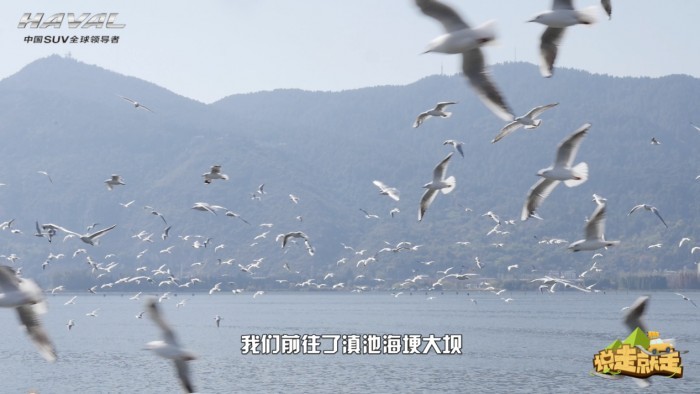 一城一路一旅途，零预算新哈弗H6 Coupe玩转昆明记