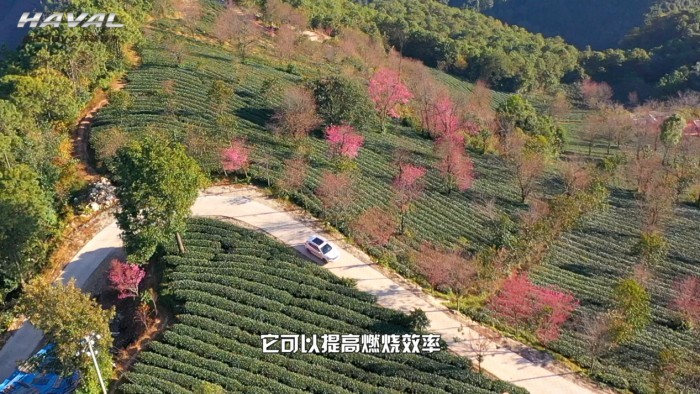 一城一路一旅途，零预算新哈弗H6 Coupe玩转昆明记