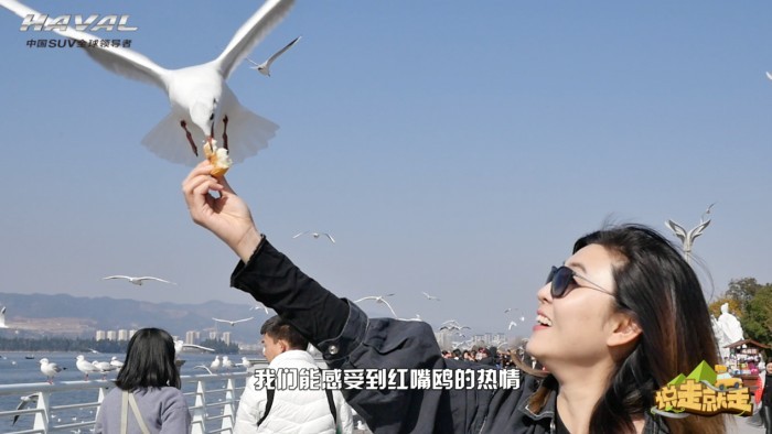 一城一路一旅途，零预算新哈弗H6 Coupe玩转昆明记