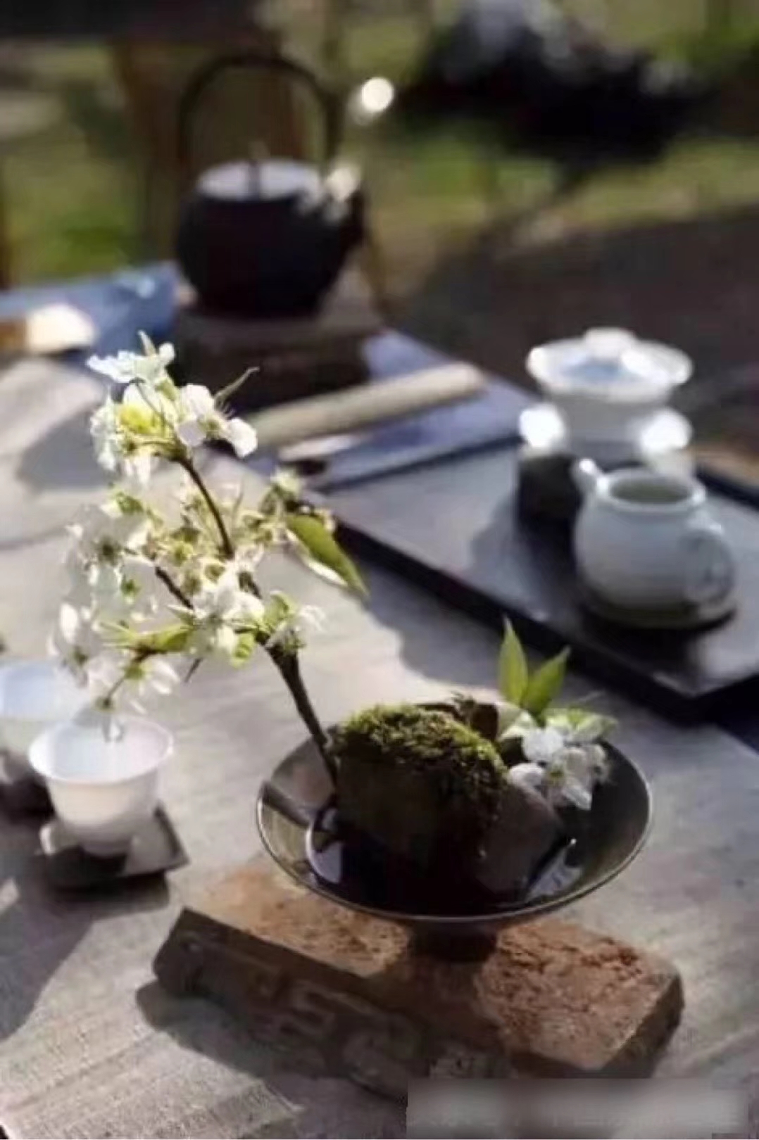 一柱香,一杯茶,就是一生的缘.  67一盏茶,浮生何时了.