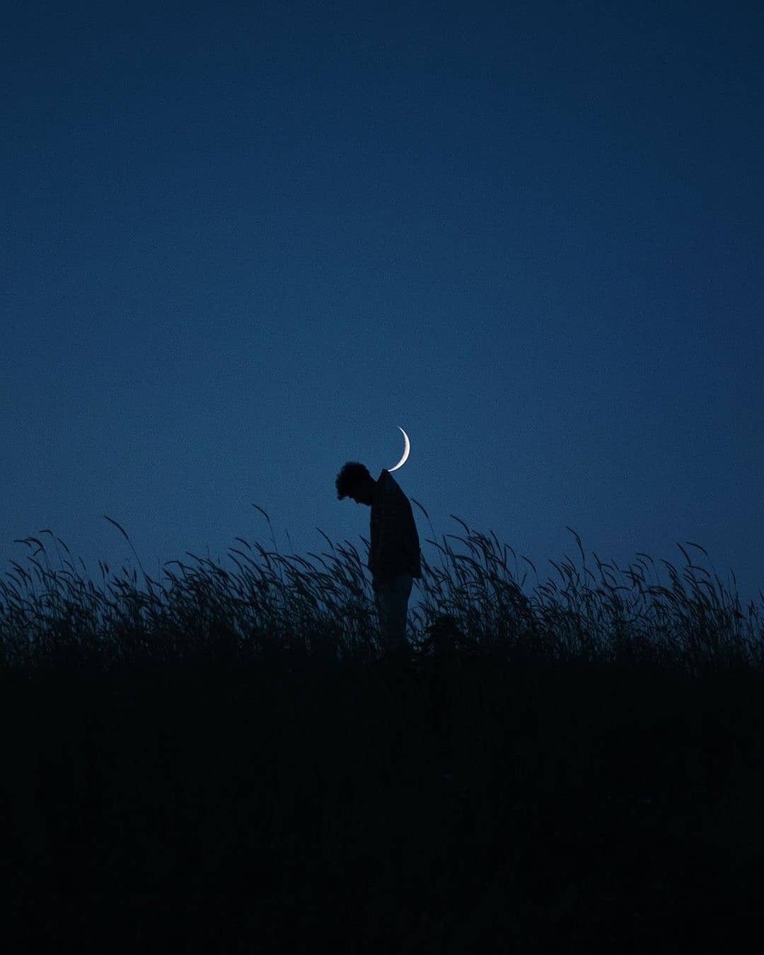 你是填满世间空落落的长镜头_高清图集_新浪网