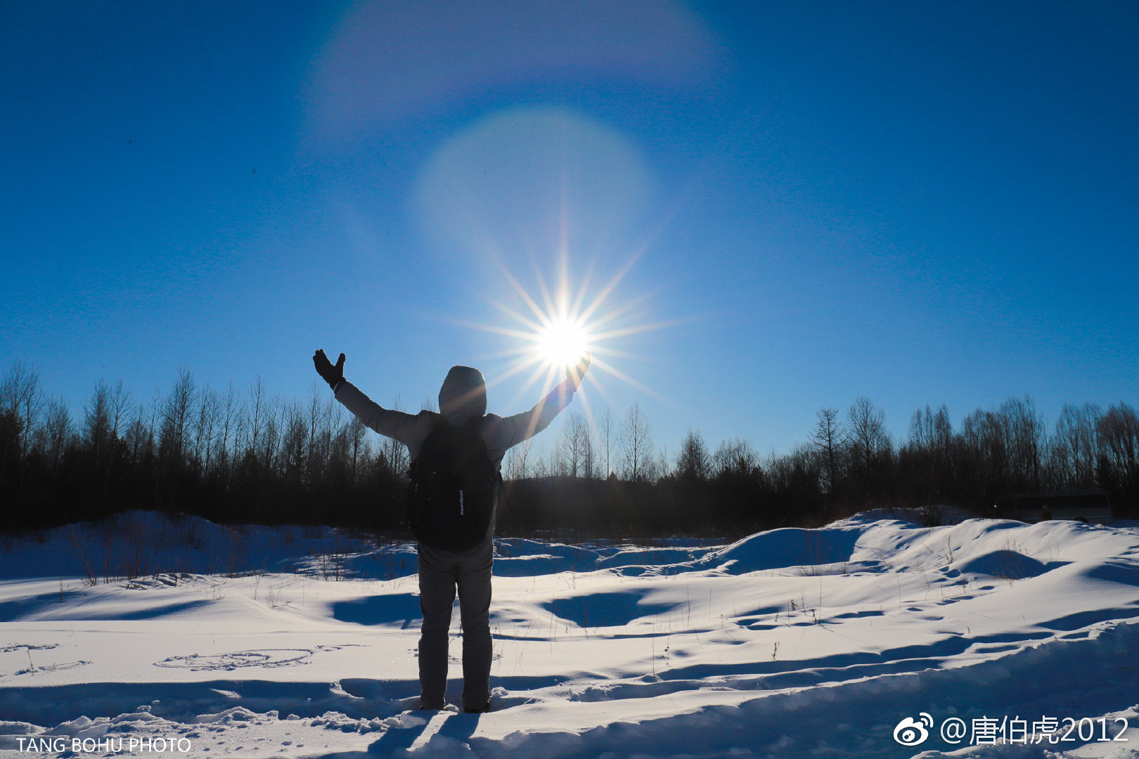 阳光给人们的一种感觉是温暖的,冬日的塔河阳光也不例外