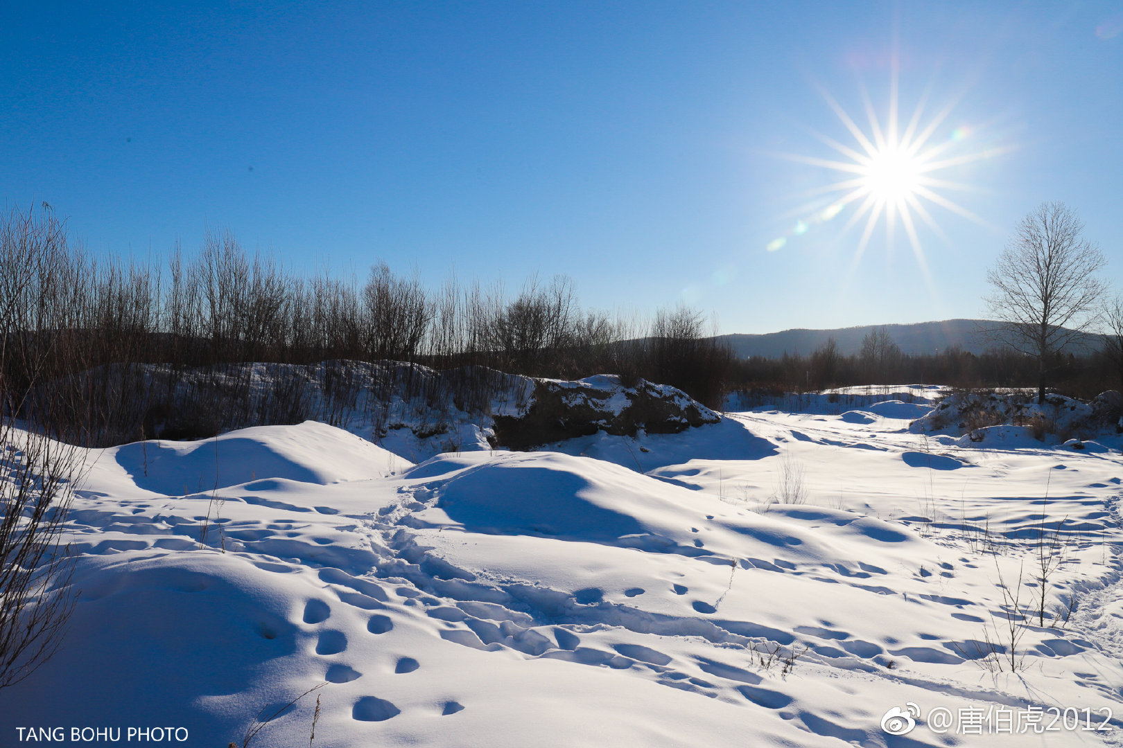 冬日的塔河阳光也不例外,它给人们的第一种感觉是温暖,在寒冷的冬天里
