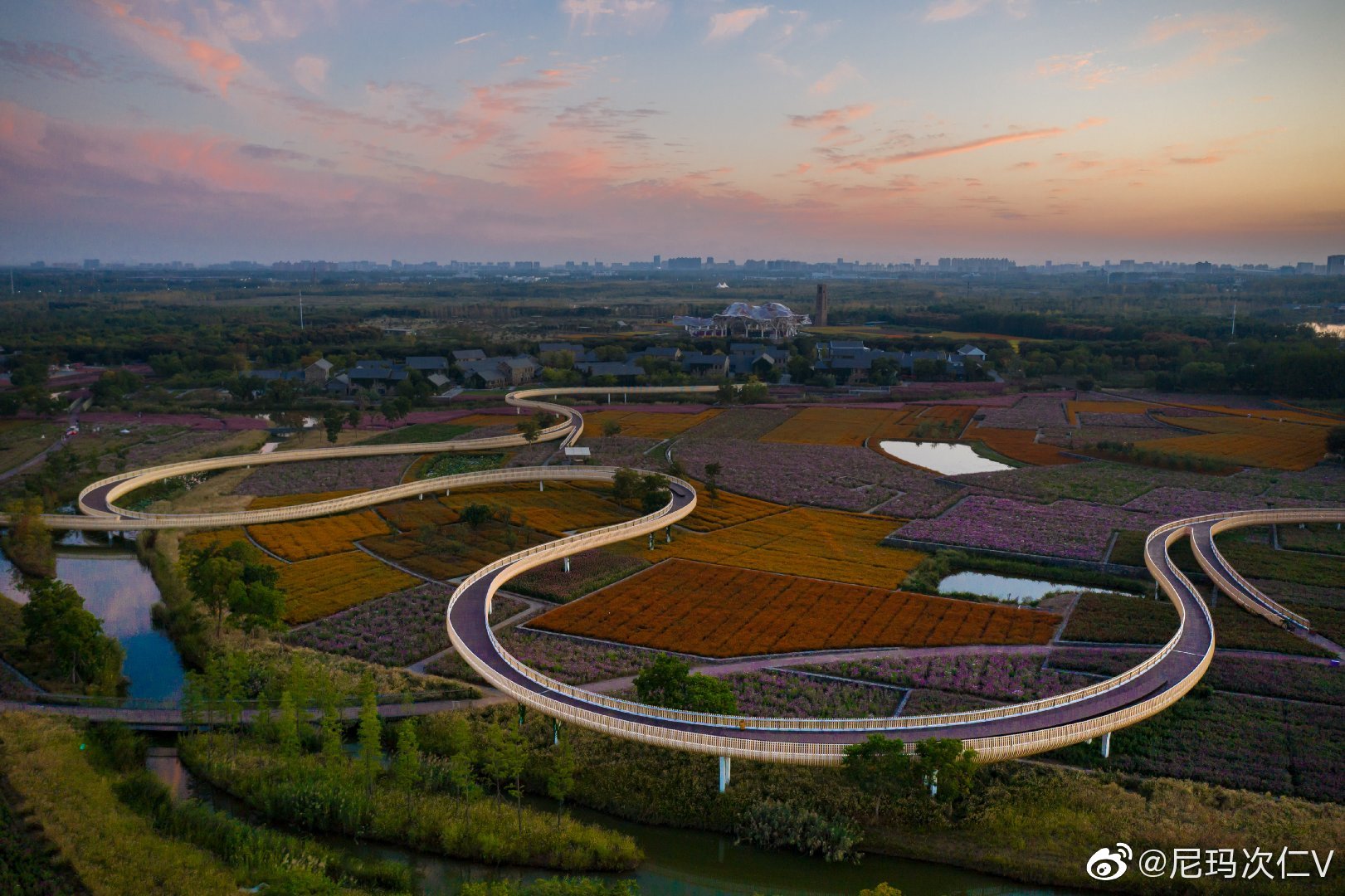 初秋的宿迁三台山衲田花海仿若撒下的彩练如梦似幻美不胜收