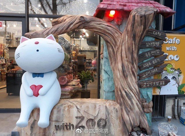 打卡南浦一间动物主题的咖啡店跟各种小动物一起品尝咖啡感觉也很奇