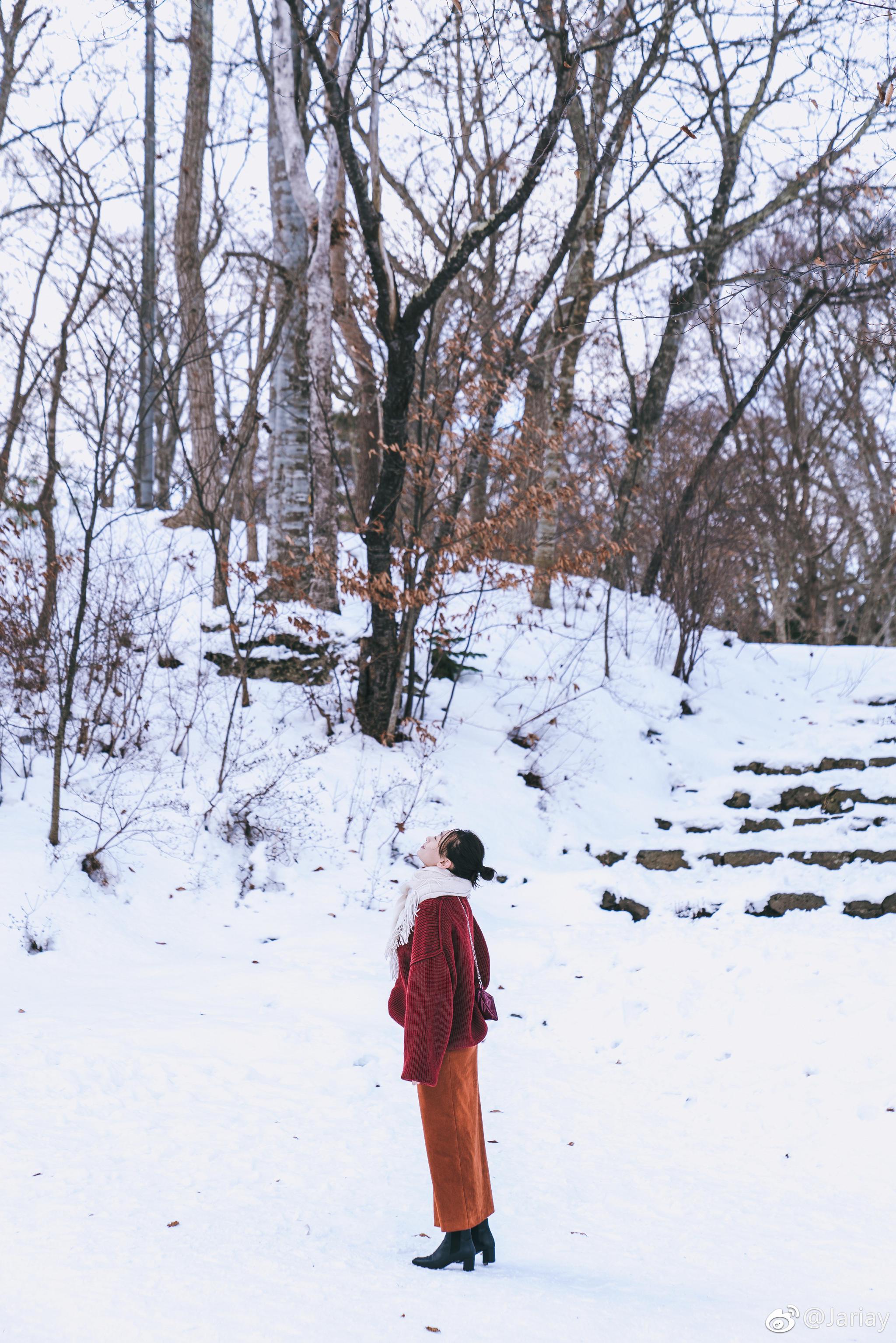 分享一只在北海道雪地里撒欢的少女@林萍在日本