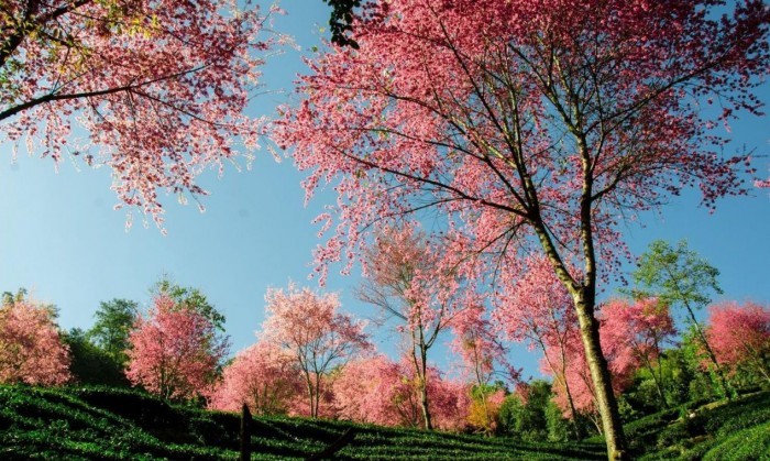 一城一路一旅途，零预算新哈弗H6 Coupe玩转昆明记