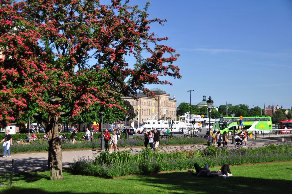 中国游客瑞典遭抢,瑞典治安怎么这么差?