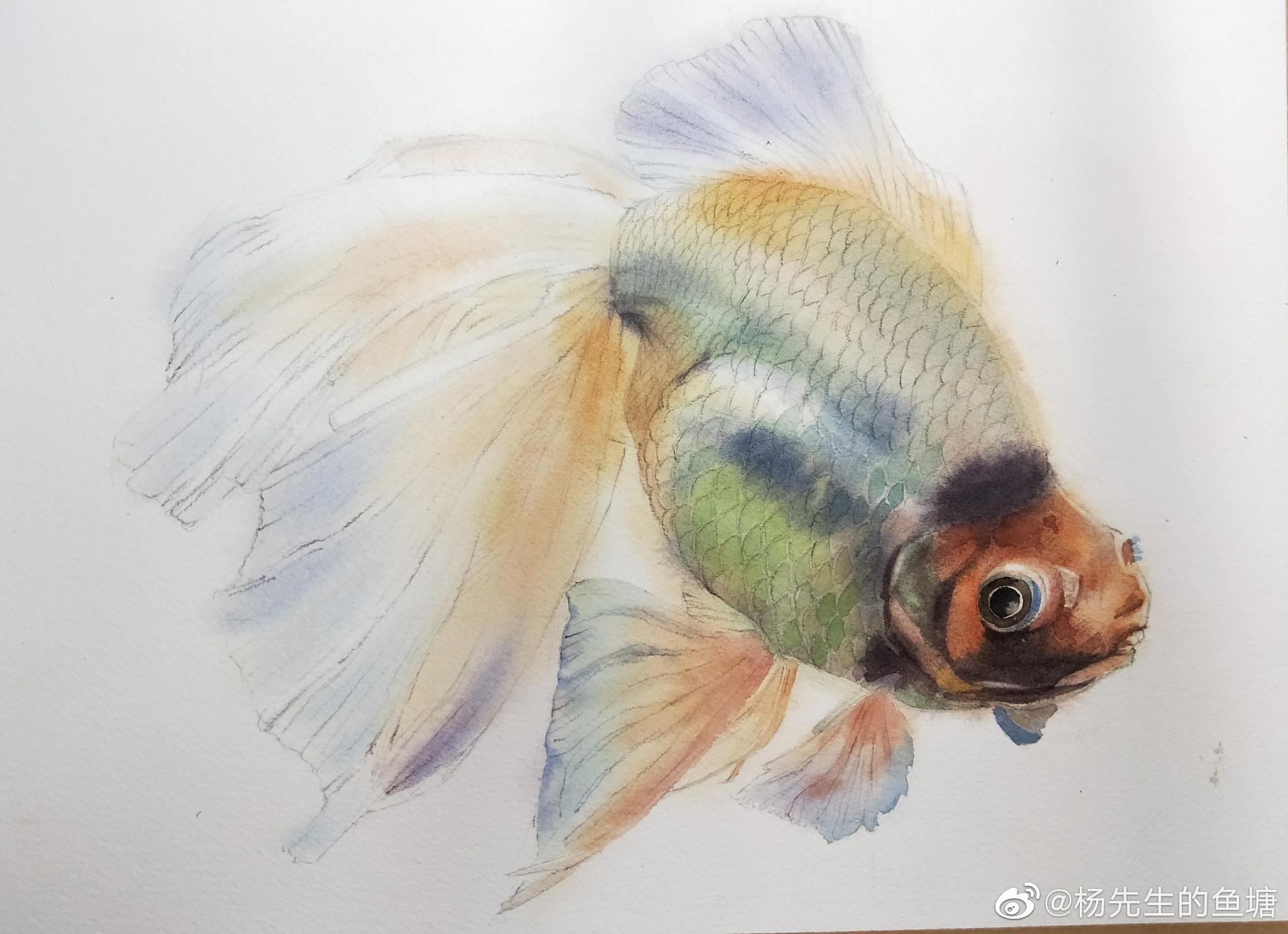 知道你喜欢鱼儿，这个鱼塘被我承包了哦