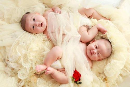 谢娜的双胞胎宝宝图片