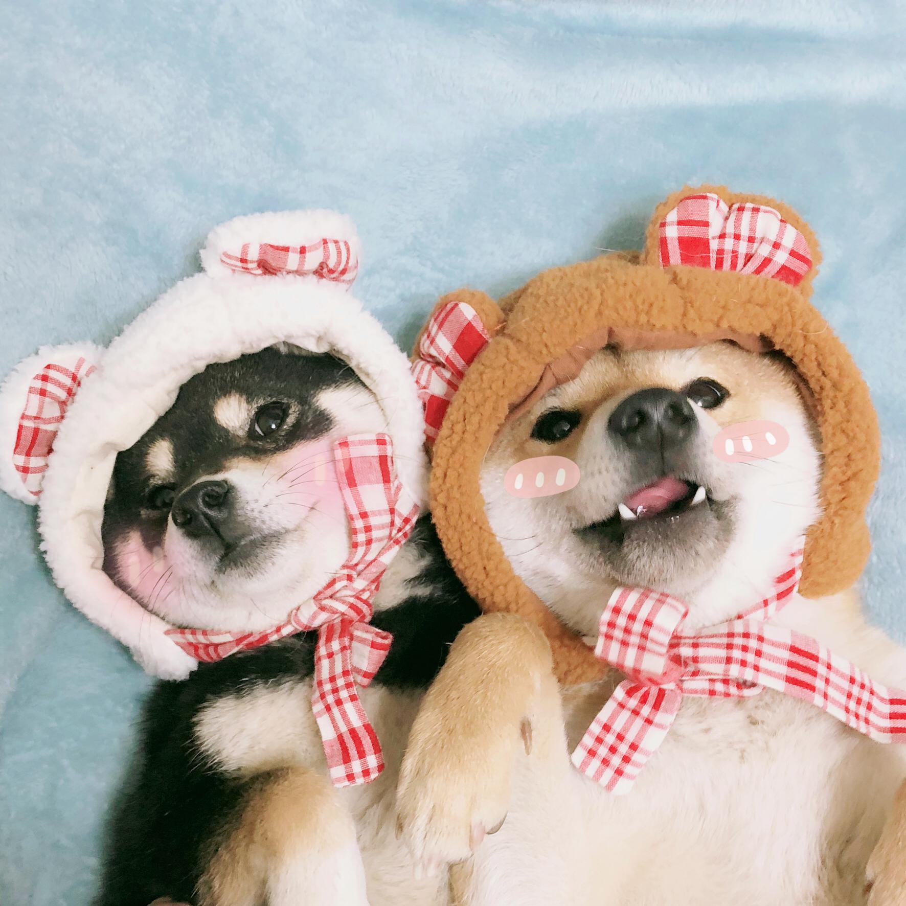 可以跟喜欢的人当情侣头像!